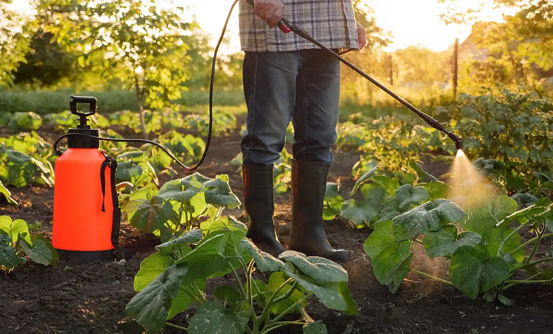 Can peptide biostimulants be mixed with fertilizers or pesticides